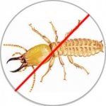 Termite Control Services company in Dhaka Bangladesh