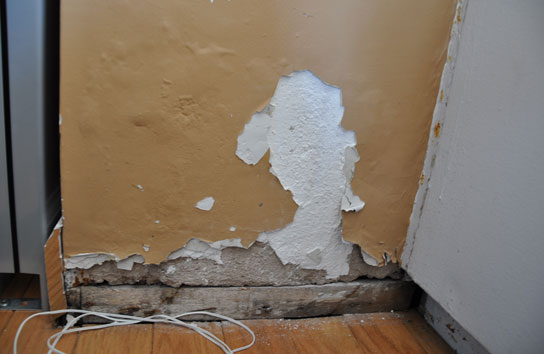 Chemical Treatment of Plaster and Paint Services